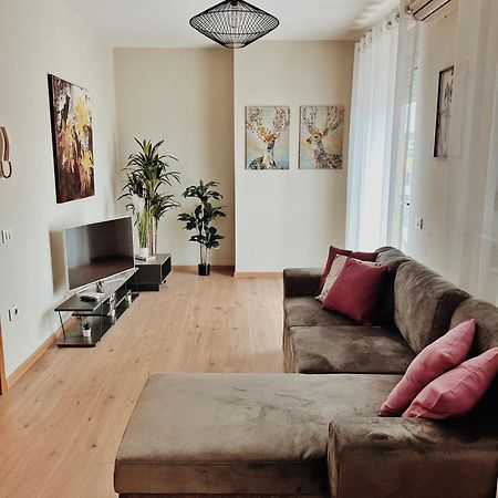 Cozy Rooftop Apartment - Your Home, Away From Home! ティラナ エクステリア 写真