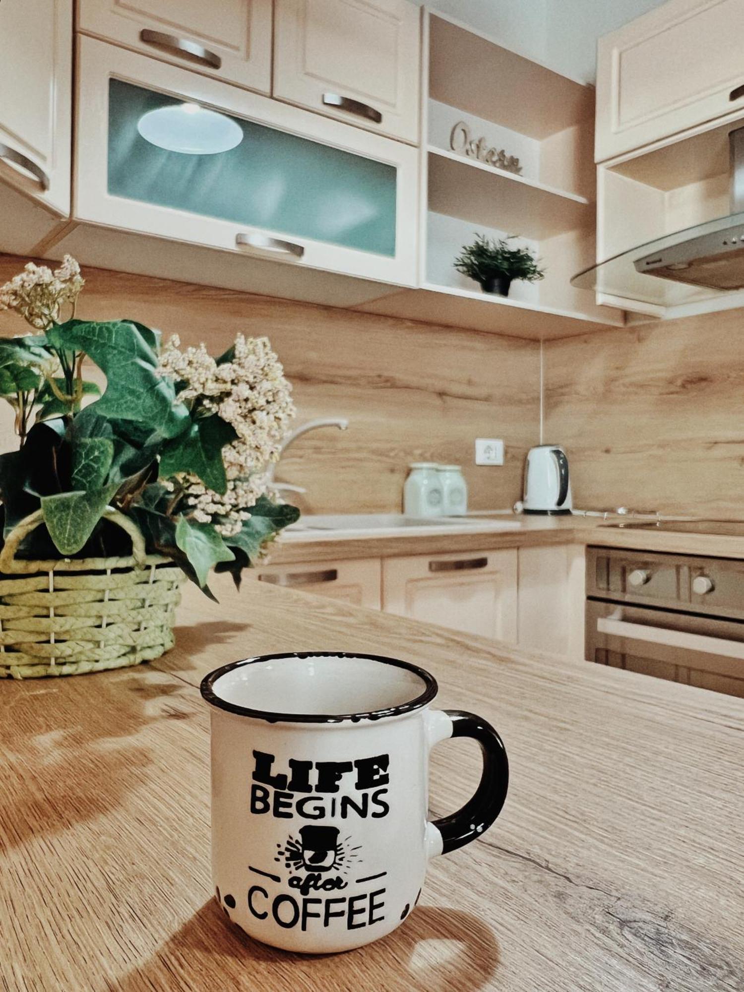 Cozy Rooftop Apartment - Your Home, Away From Home! ティラナ エクステリア 写真