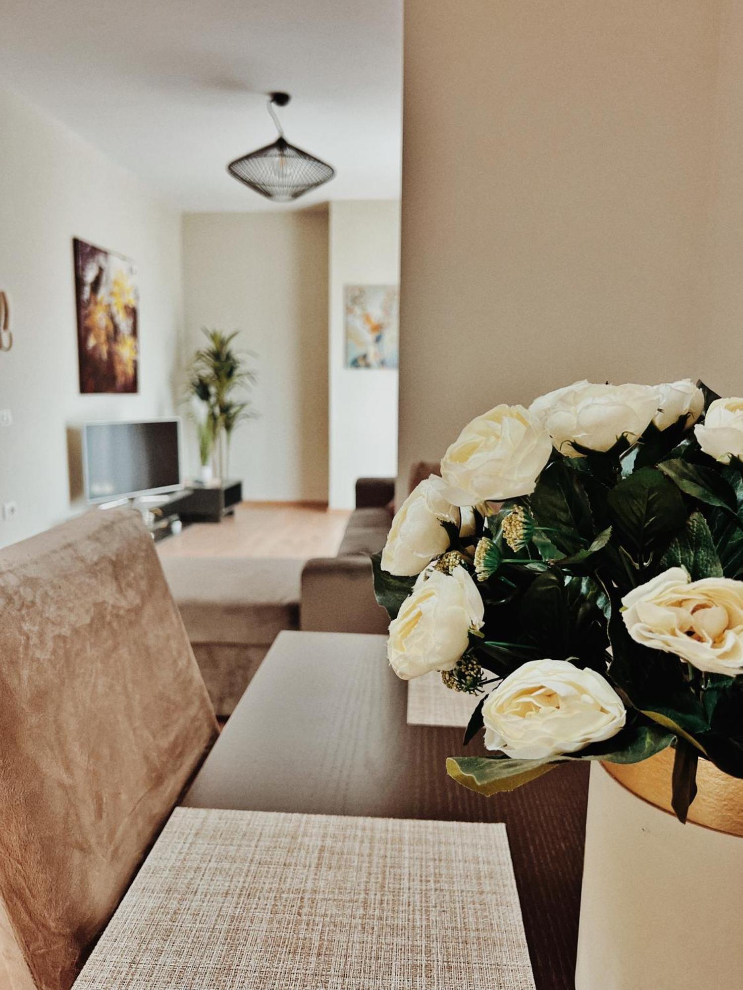 Cozy Rooftop Apartment - Your Home, Away From Home! ティラナ エクステリア 写真